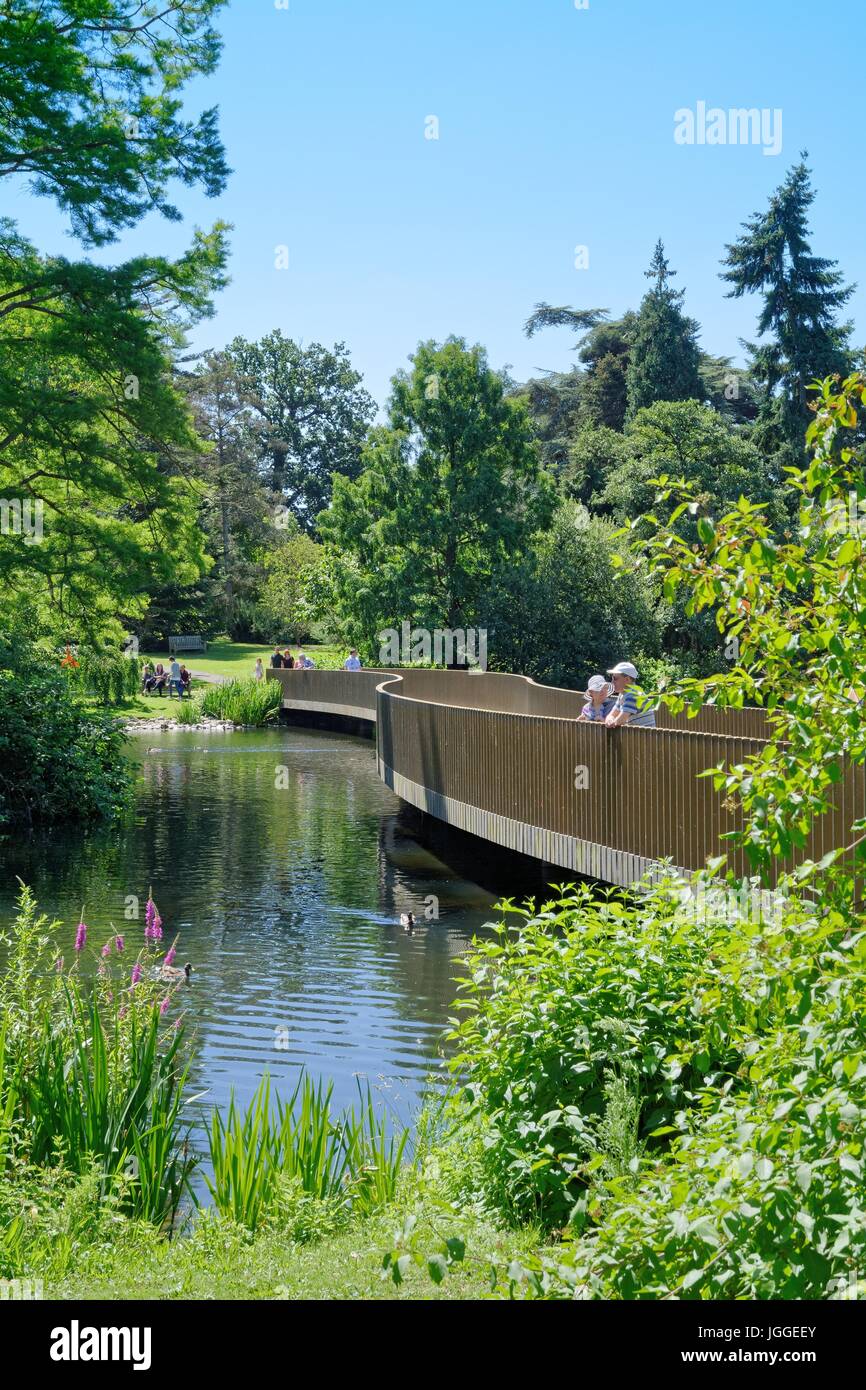 Le pont Sackler à Kew gardens Surrey UK Banque D'Images
