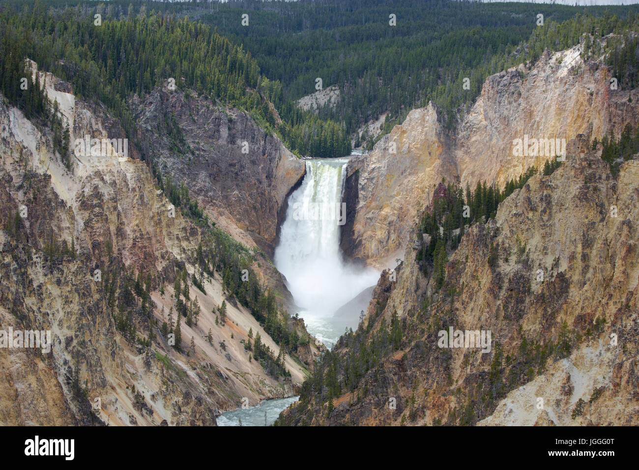 Vue sur la Lower Falls vu de point de l'artiste dans le Parc National de Yellowstone Banque D'Images