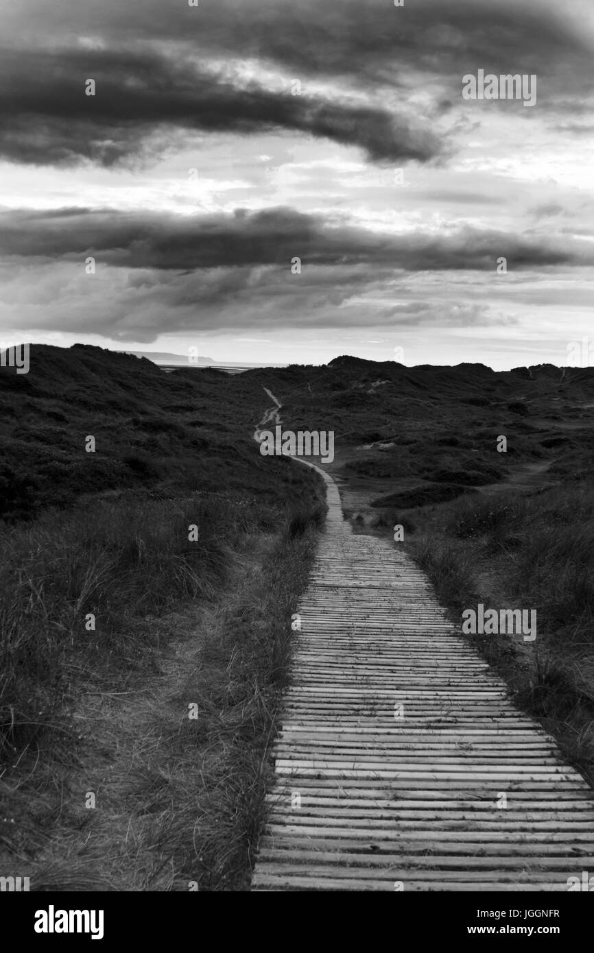 Par boardwalk braunton burrows sand dunes Banque D'Images