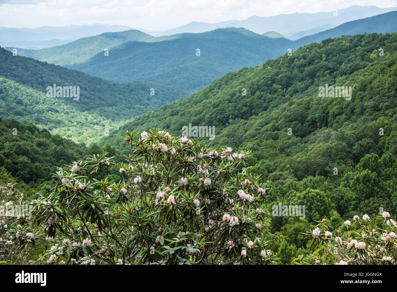 Vue sur les montagnes Blue Ridge de la Richard B. Russell Scenic Byway entre Blairsville et Helen, la Géorgie. (USA) Banque D'Images