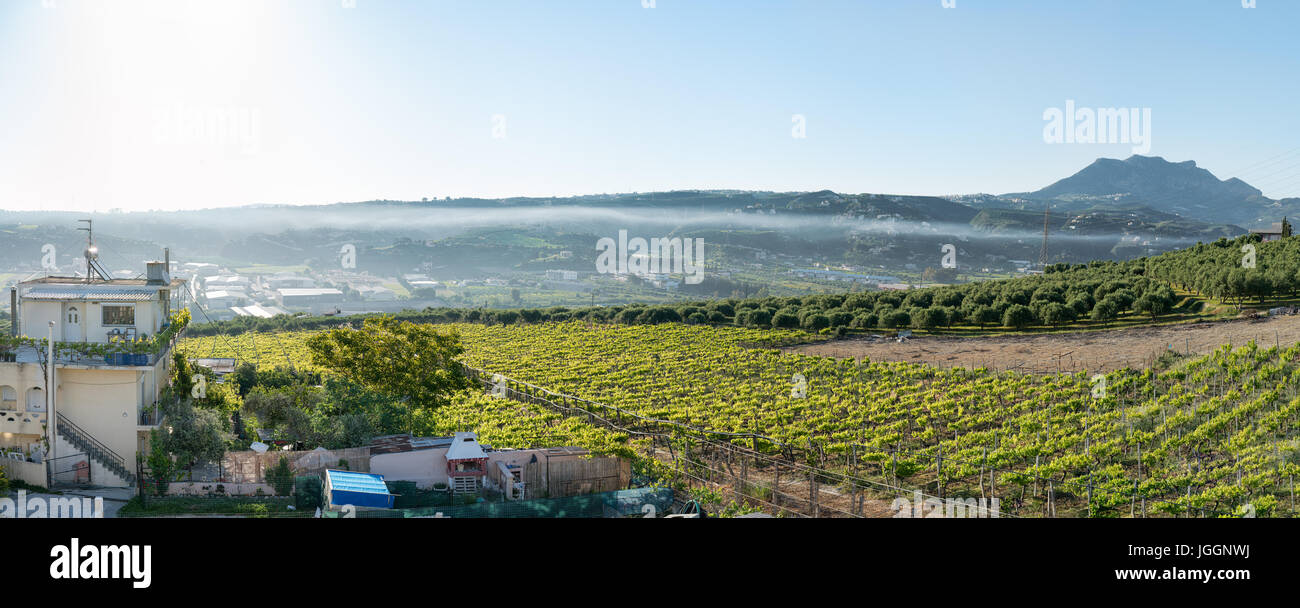 Vue panoramique sur une zone agricole à Héraklion, Crète, Grèce Banque D'Images