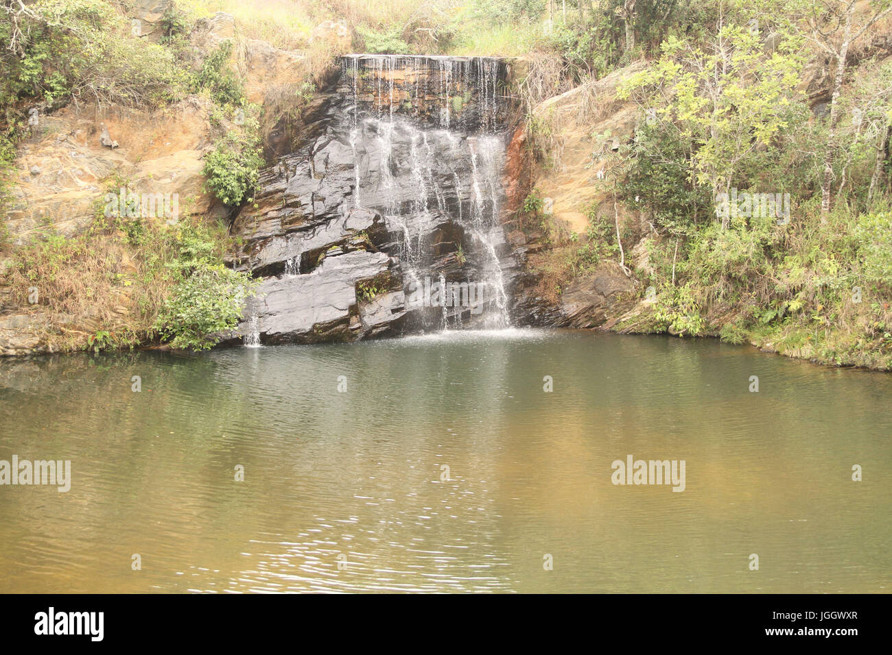 Belle et bien, 2016, Parc Ecológico Quedas do Rio Bonito, Lavras, Minas Gerais, Brésil. Banque D'Images