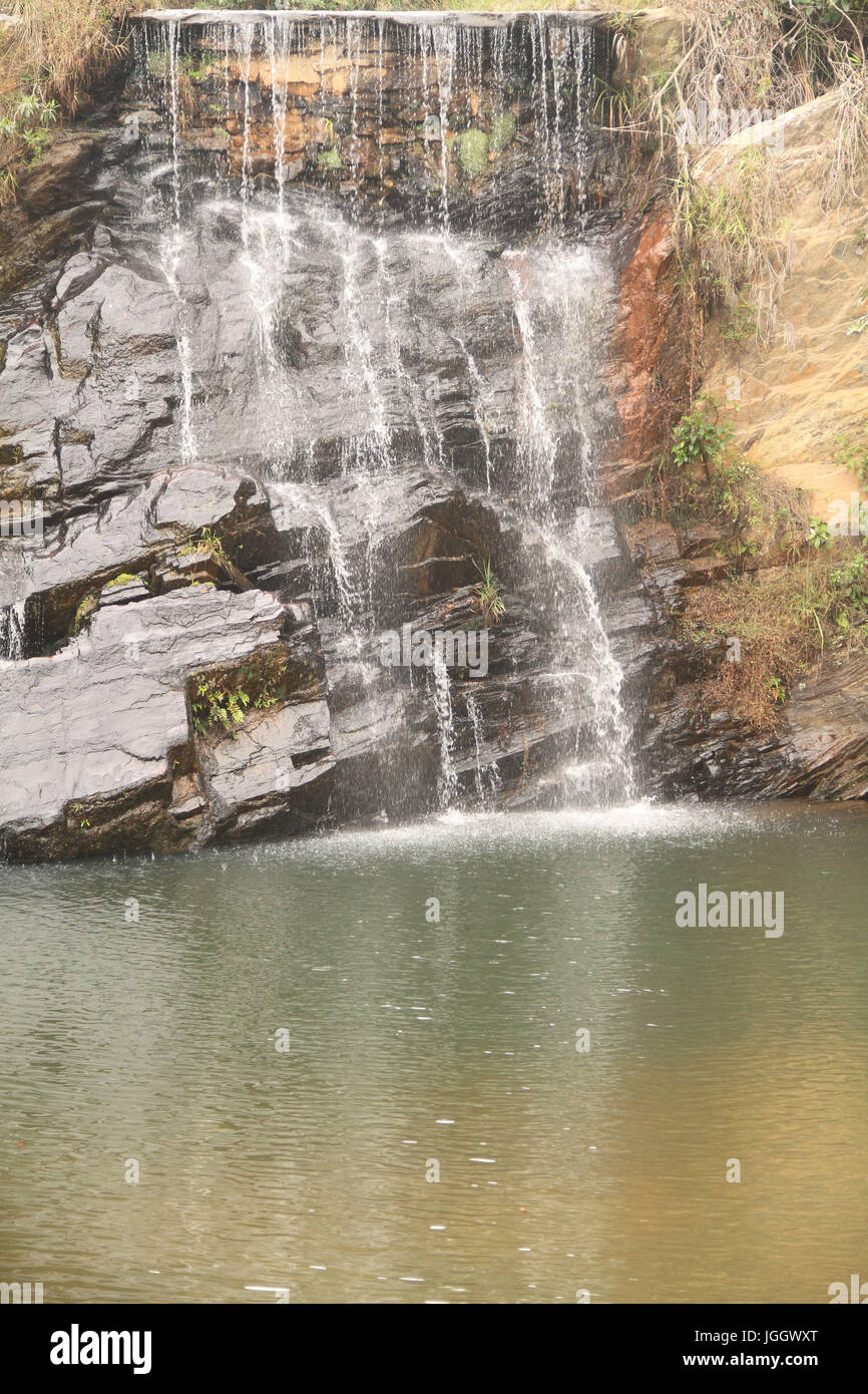 Belle et bien, 2016, Parc Ecológico Quedas do Rio Bonito, Lavras, Minas Gerais, Brésil. Banque D'Images