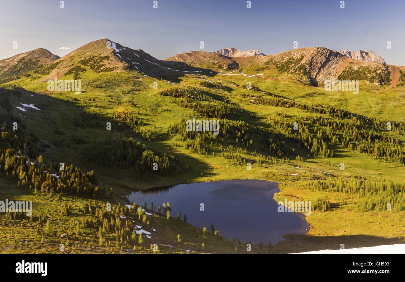 Vue panoramique aérienne Green Alpine Meadow Blue Lake Landscape. Montagnes Rocheuses canadiennes Skyline Col Healy randonnée Parc national Banff Summertime Banque D'Images