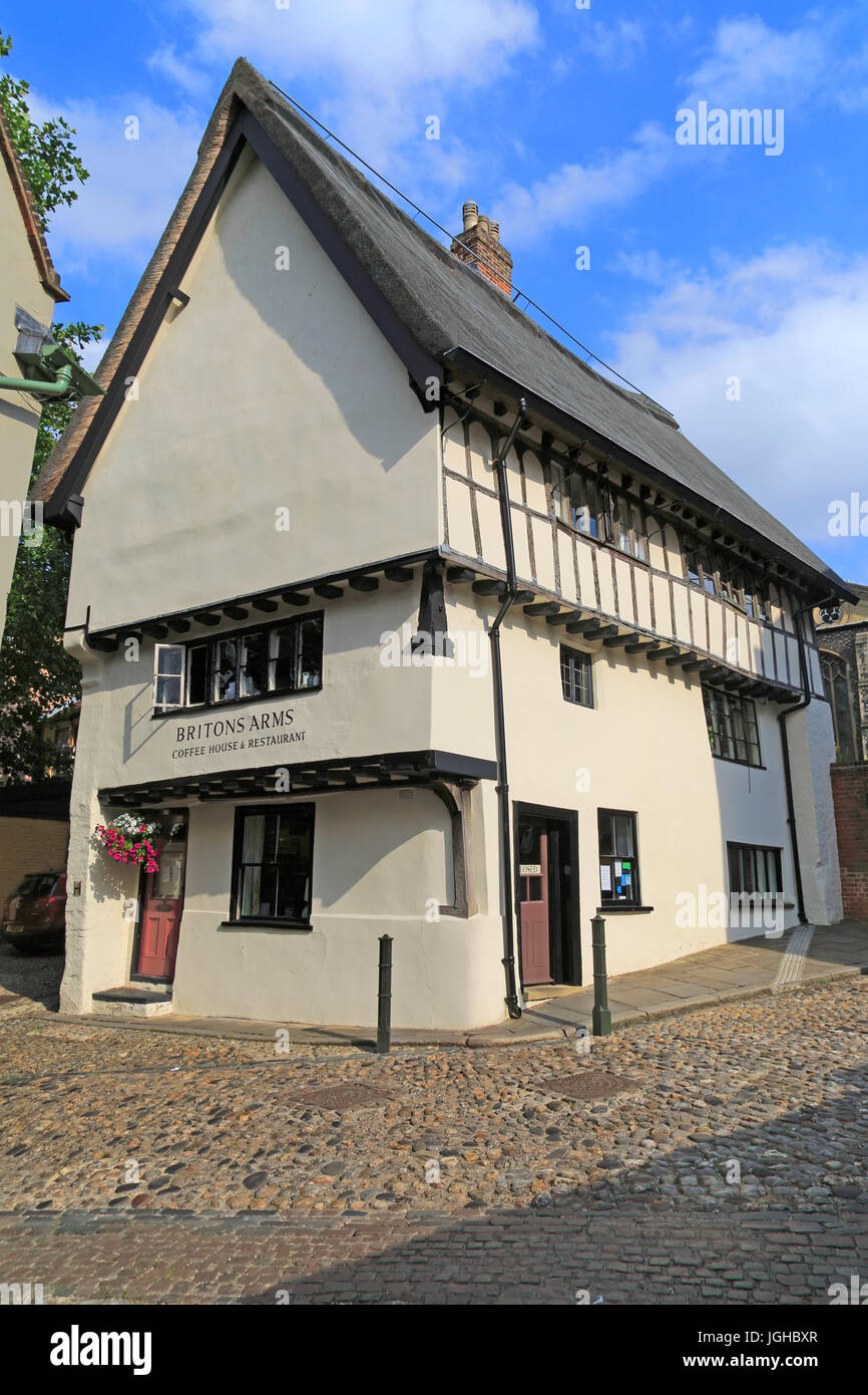 Les armes britanniques édifice médiéval, Elm Hill, rue pavées Lane, Norwich, Norfolk, England, UK Banque D'Images
