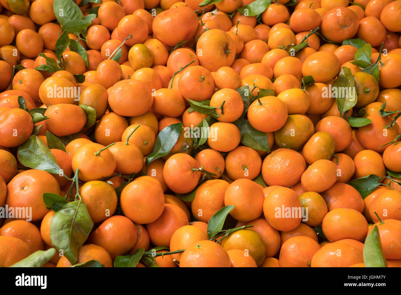 Tangerines à un marché de fruits et légumes Banque D'Images