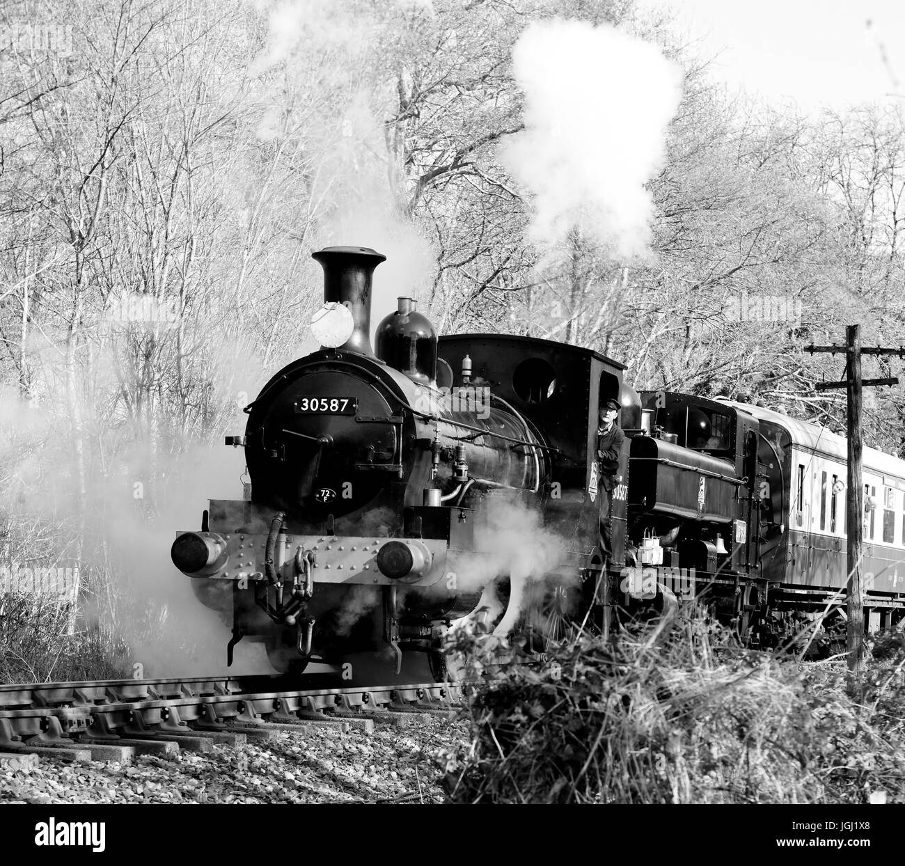 Train à vapeur à deux têtes sur le South Devon Railway, tiré par Beattie et aucun réservoir de 30587, et aucun réservoir pannier GWR 1369. Banque D'Images