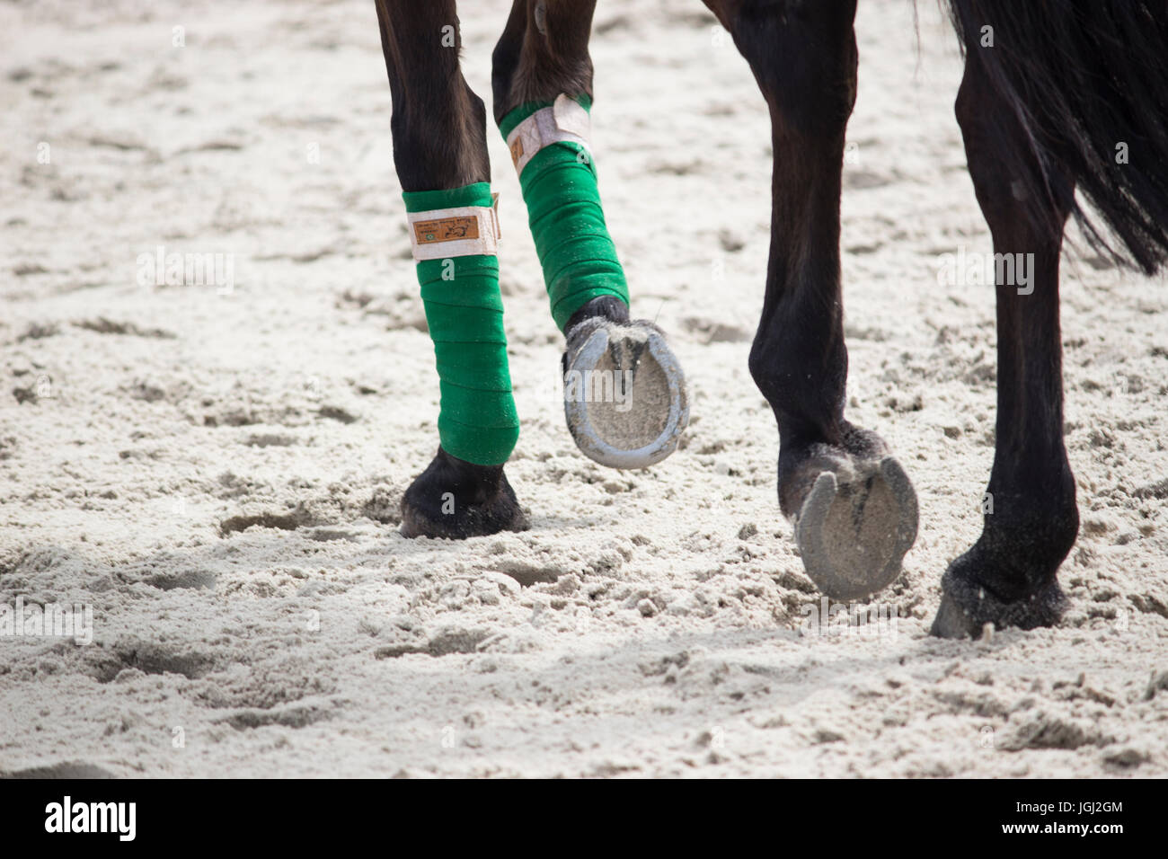 Sabots de cheval Banque D'Images