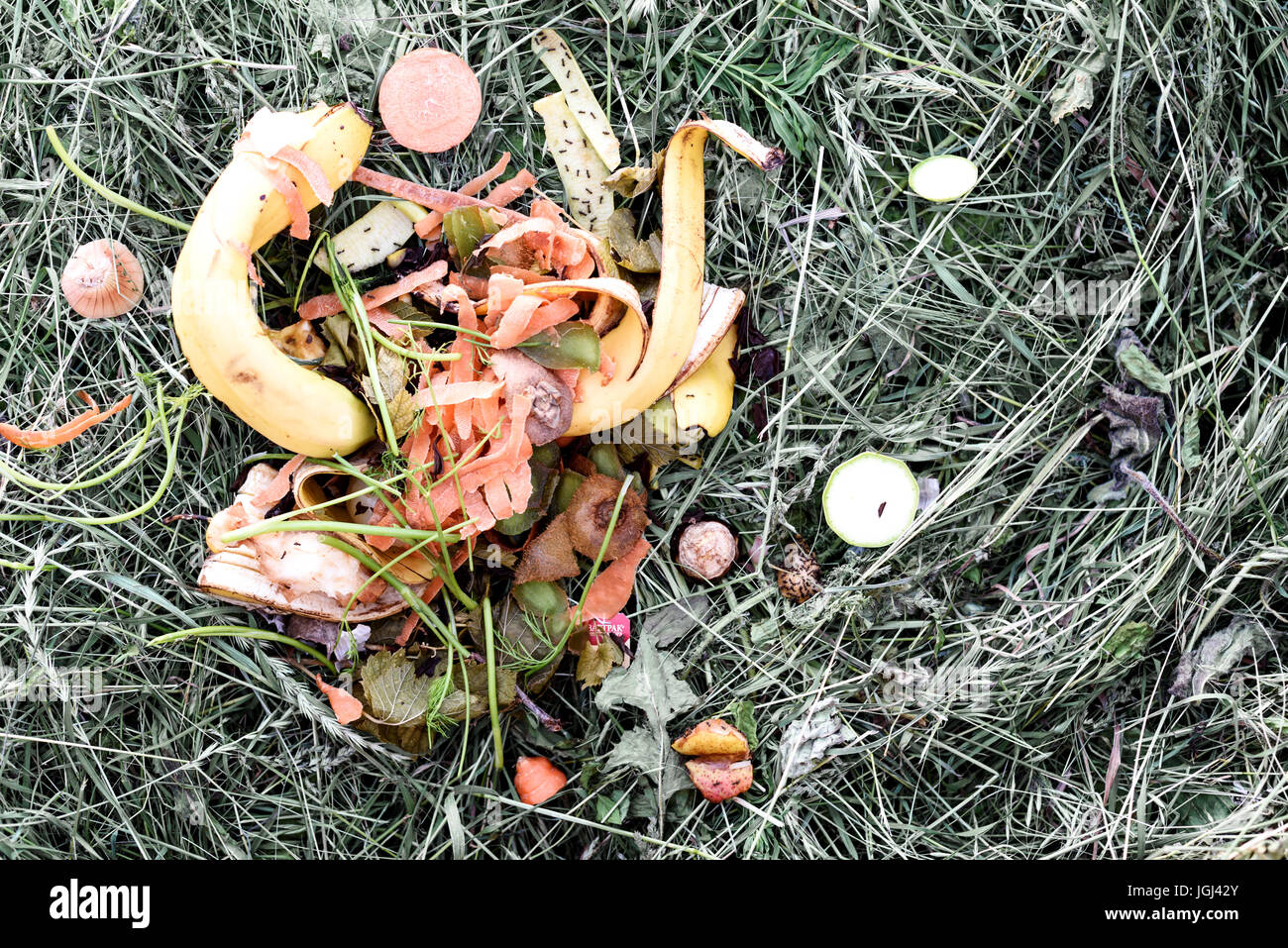 Les déchets de cuisine d'une maison déposés sur un tas de compost. Le compostage et les peaux de peelings bio jardin le recyclage. Banque D'Images