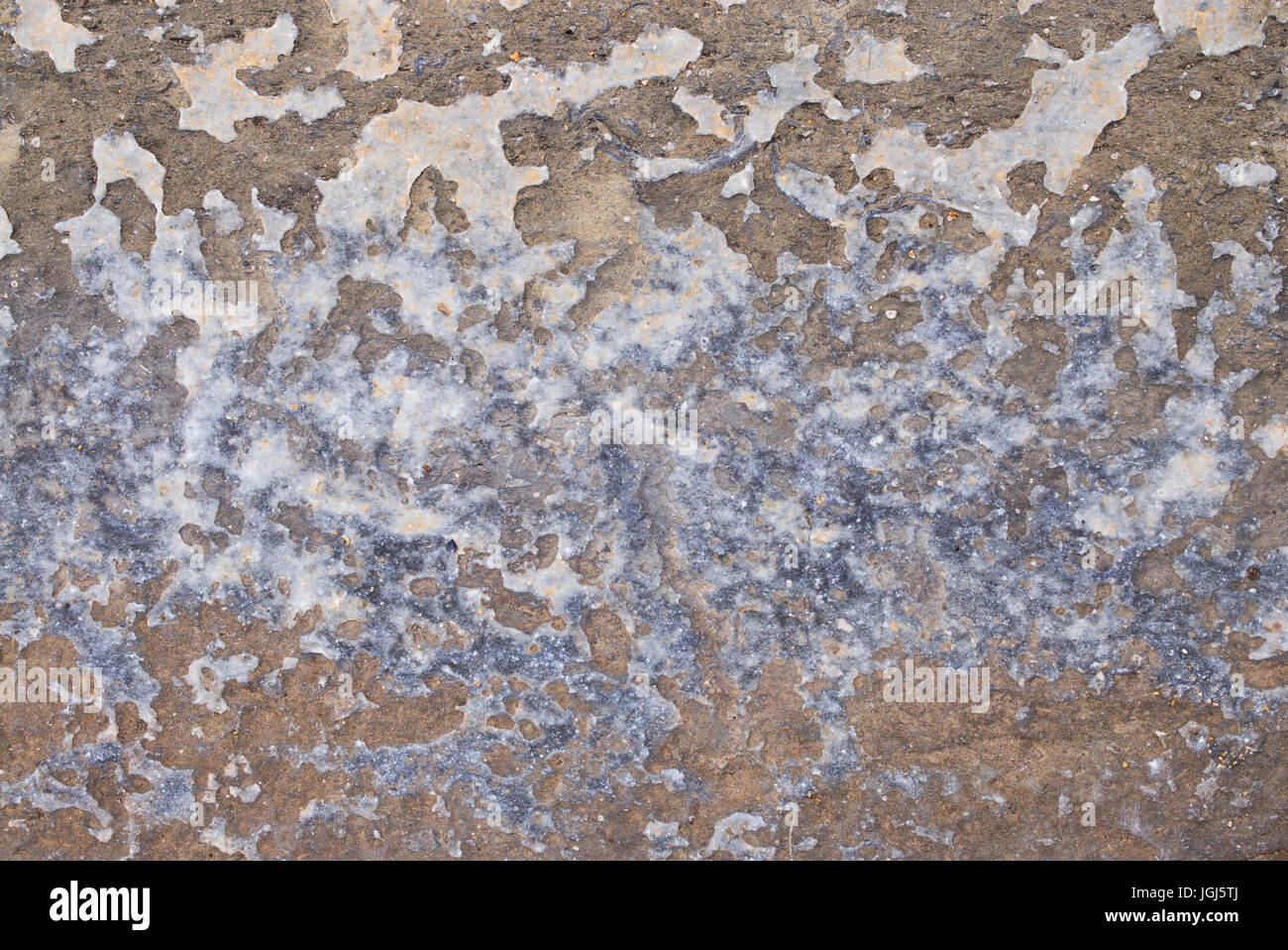Plage texturé motif de grès trouvés sur la côte de Northumberland. Berwick upon Tweed. Le Northumberland , Royaume-Uni Banque D'Images