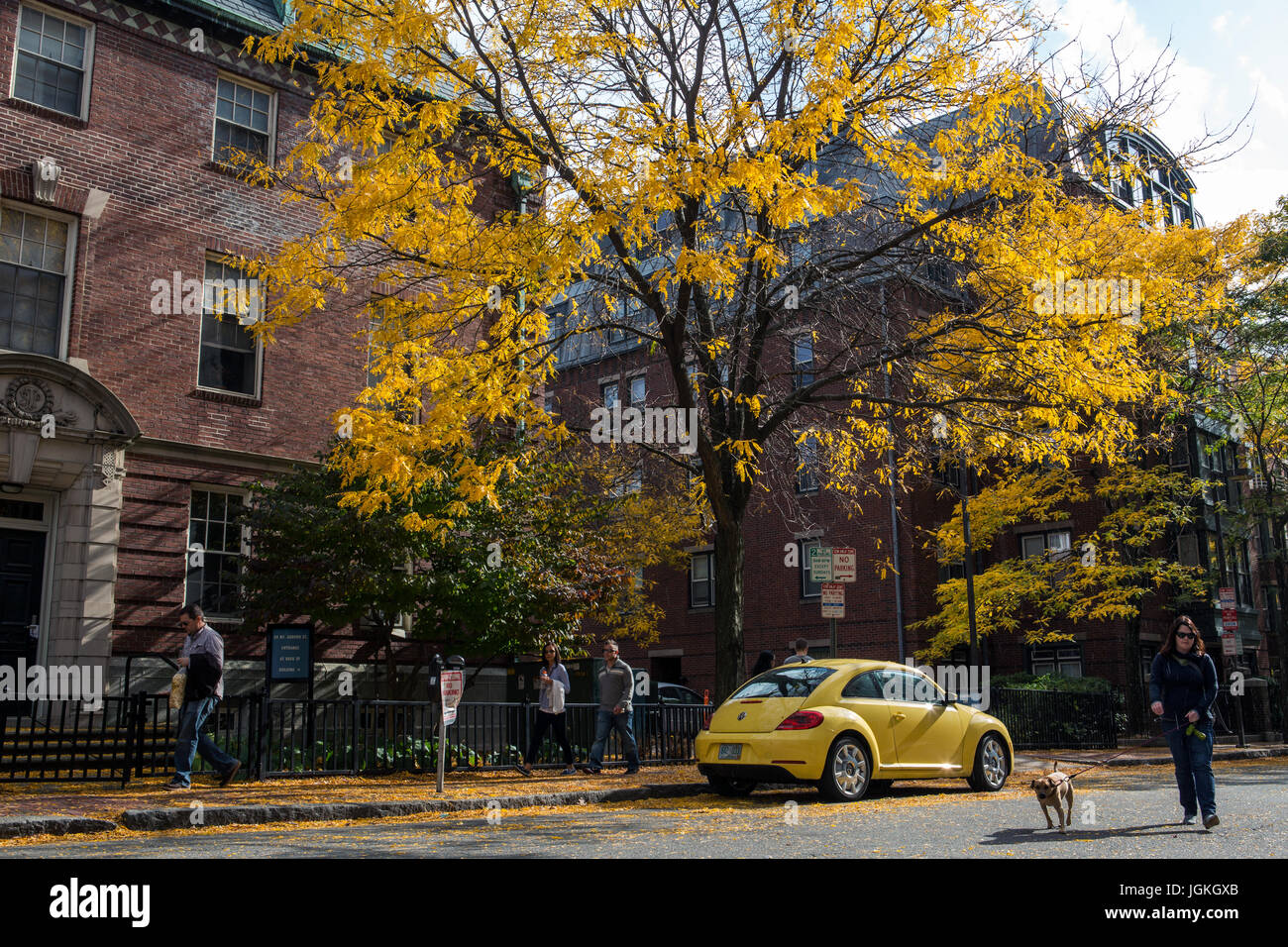 Voir des bâtiments dans le centre-ville de Cambridge en automne Banque D'Images