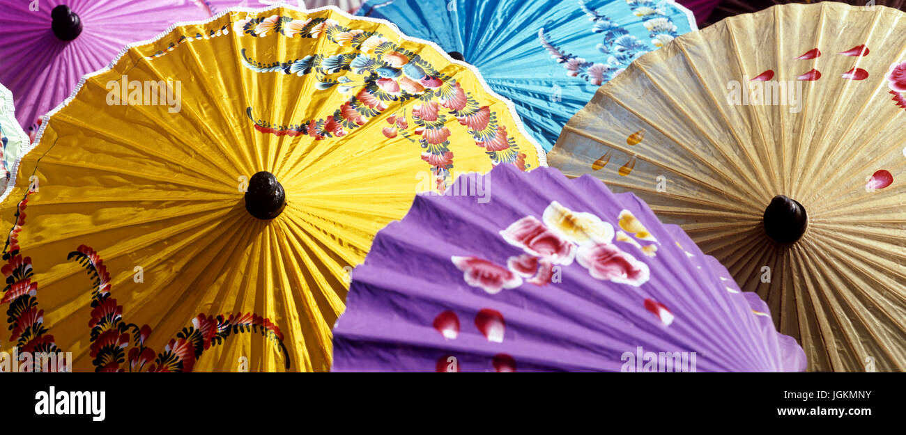 RS 3443. Origines ; couleurs ; couleurs ; écran ; l'usine parapluie, Chiang Mai, Thaïlande du Nord Banque D'Images RS 3443. Origines ; couleurs ; couleurs ; écran ; l'usine parapluie, Chiang Mai, Thaïlande du Nord Banque D'Images