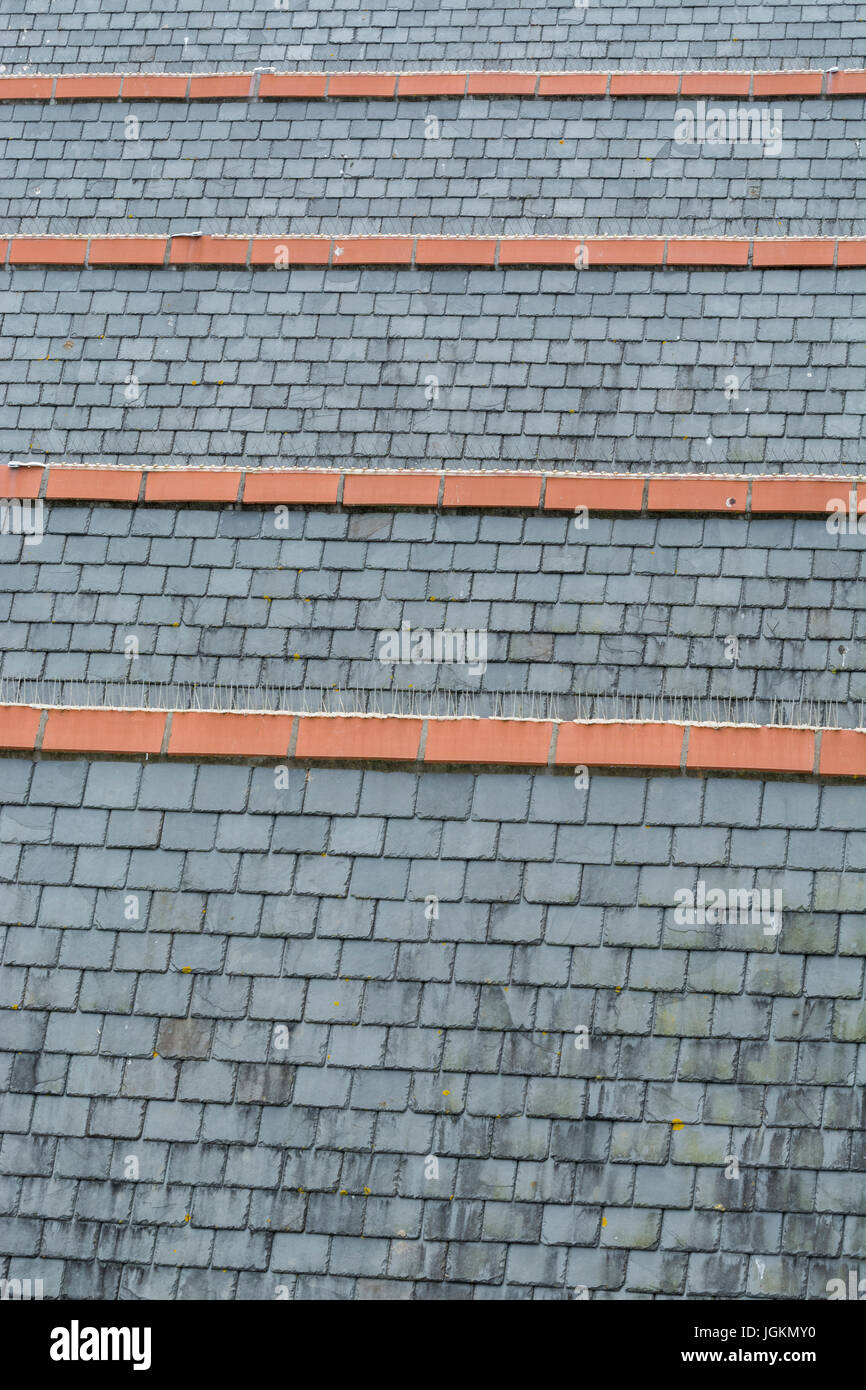 Série de toits connecté, avec du gris ardoise et tuiles faîtières en céramique. Métaphore possible pour monter dans l'échelle de logement. Banque D'Images