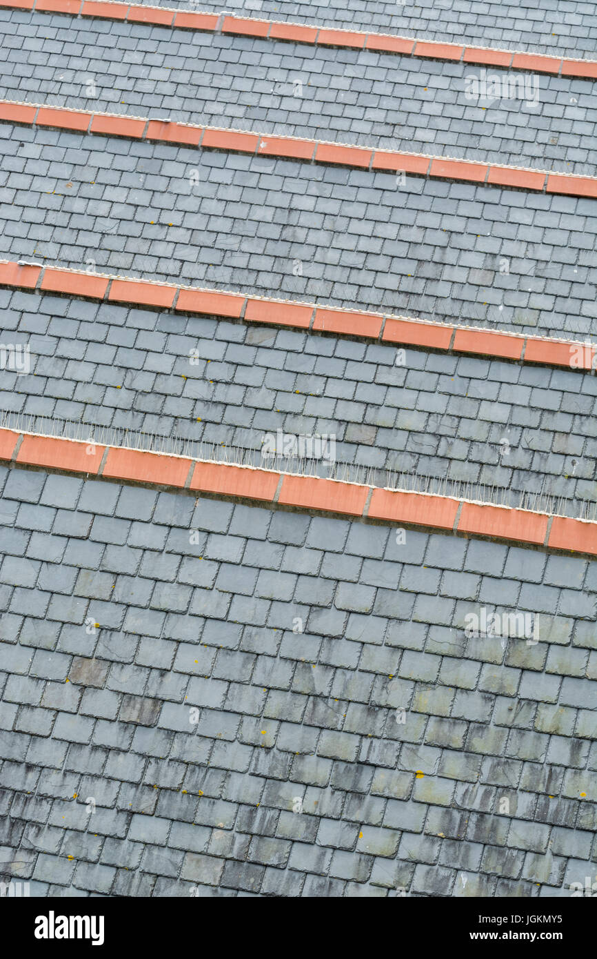 Série de toits connecté, avec du gris ardoise et tuiles faîtières en céramique. Métaphore possible pour monter dans l'échelle de logement. Banque D'Images