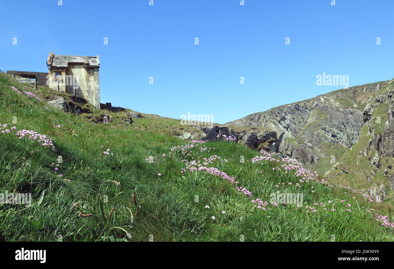 Mizen Head, Ring of Kerry, Irlande, IE Banque D'Images Mizen Head, Ring of Kerry, Irlande, IE Banque D'Images