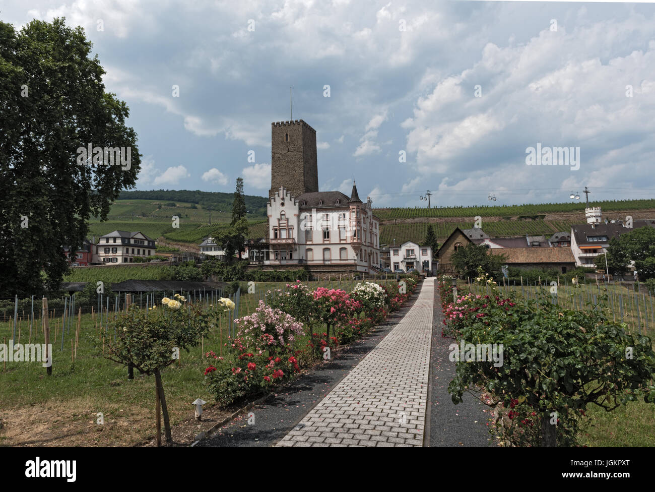 Le boosenburg à Ruedesheim sur le Rhin Banque D'Images