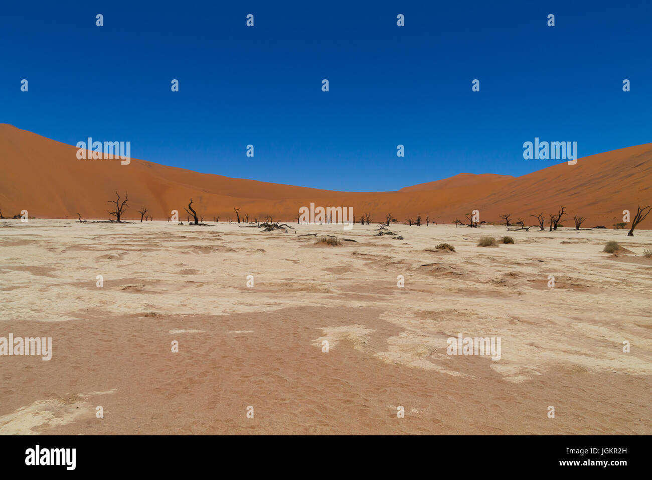 Une vue de Dead Vlei Sossusvlei, Namibie Banque D'Images