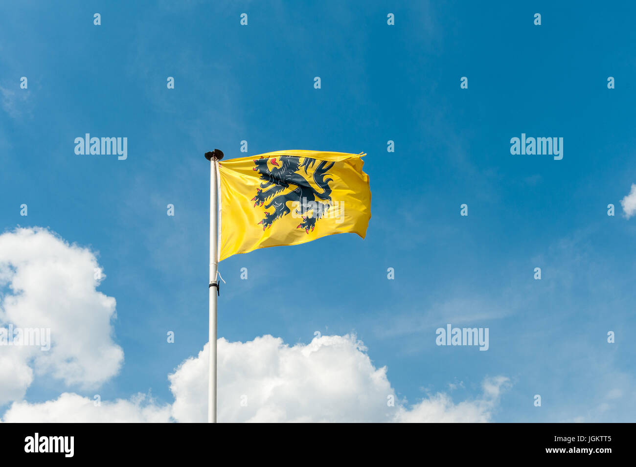 Drapeau de la Flandre - Vlaamse Leeuw Banque D'Images