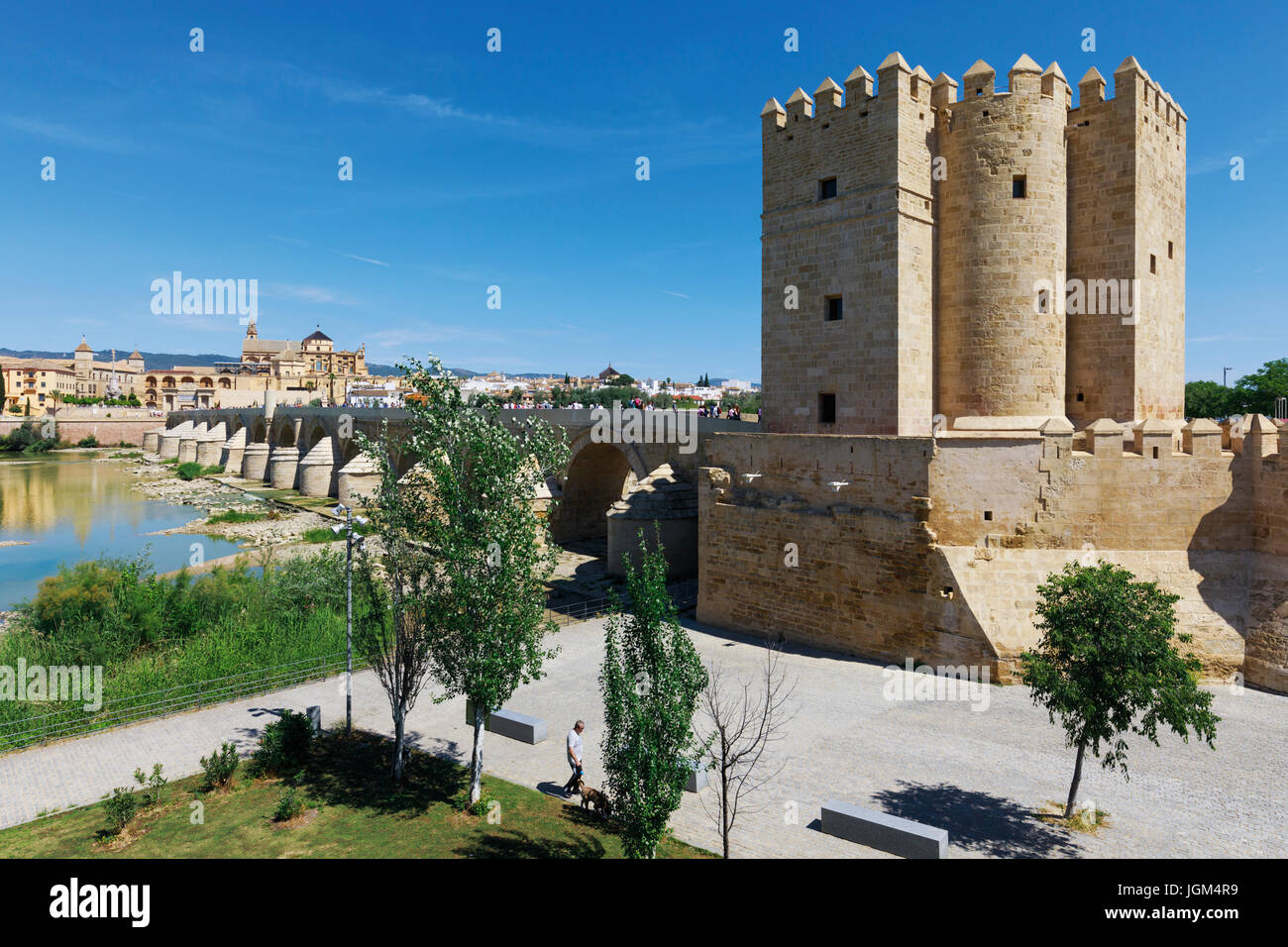 Cordoba, Cordoue, Andalousie, province du sud de l'Espagne. Torre de Calahorra (droite), pont romain et de la mosquée, la Mezquita. Le centre historique de Banque D'Images
