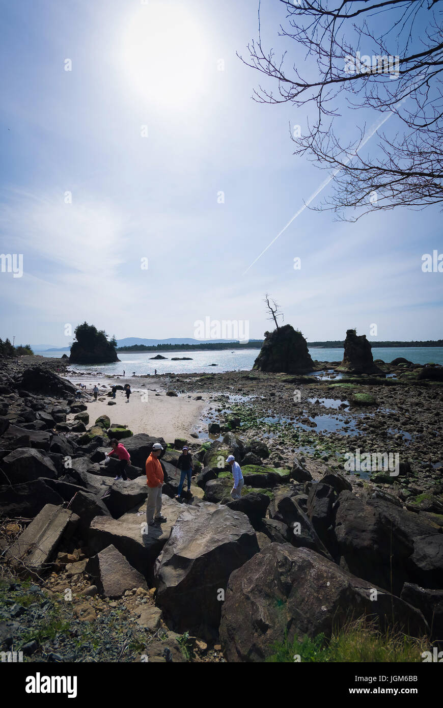 Les touristes en randonnée à marée basse vers Haystack Rock Banque D'Images