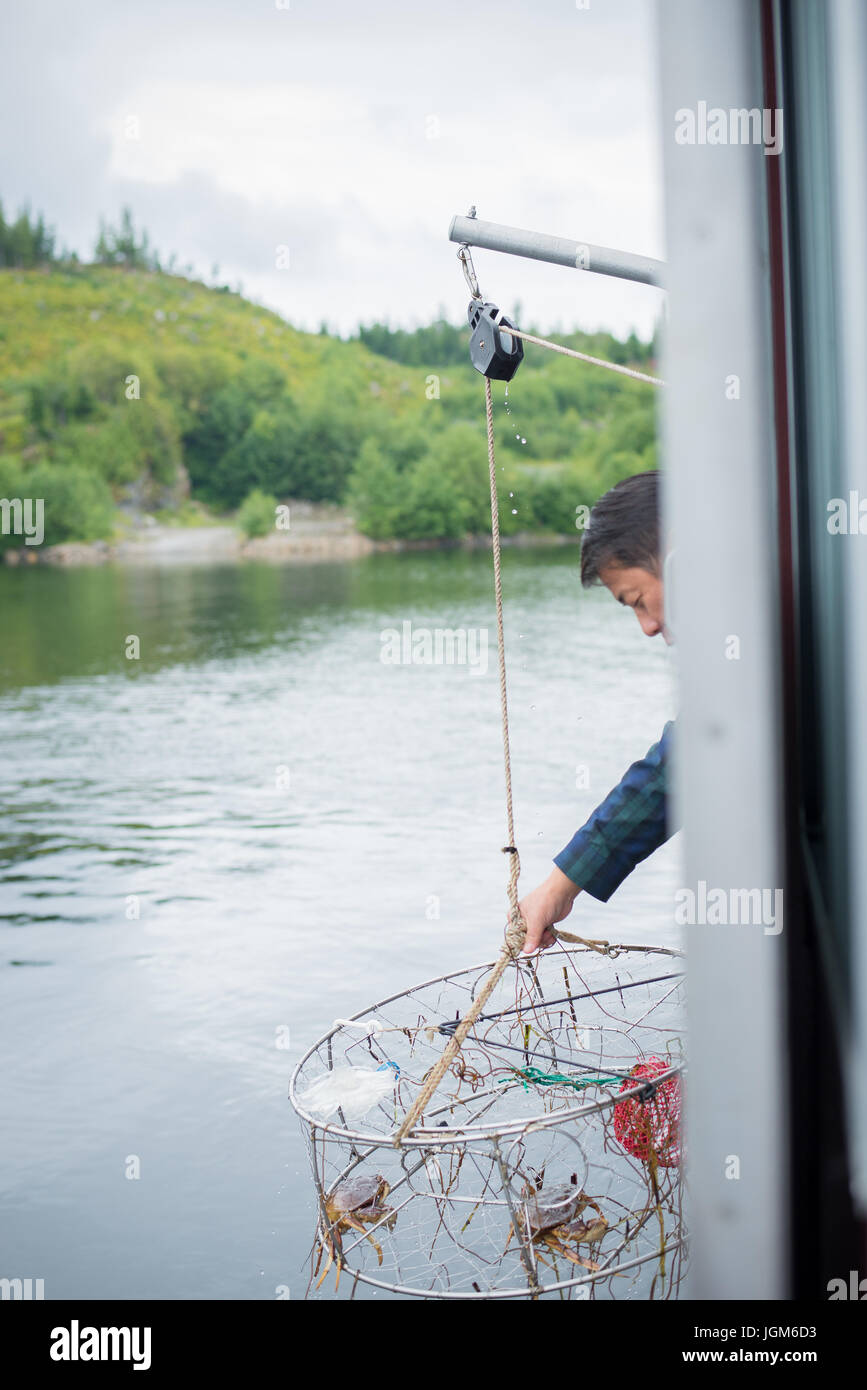Crabes piéger sur un bateau en train d'être tiré pour voir le transport Banque D'Images