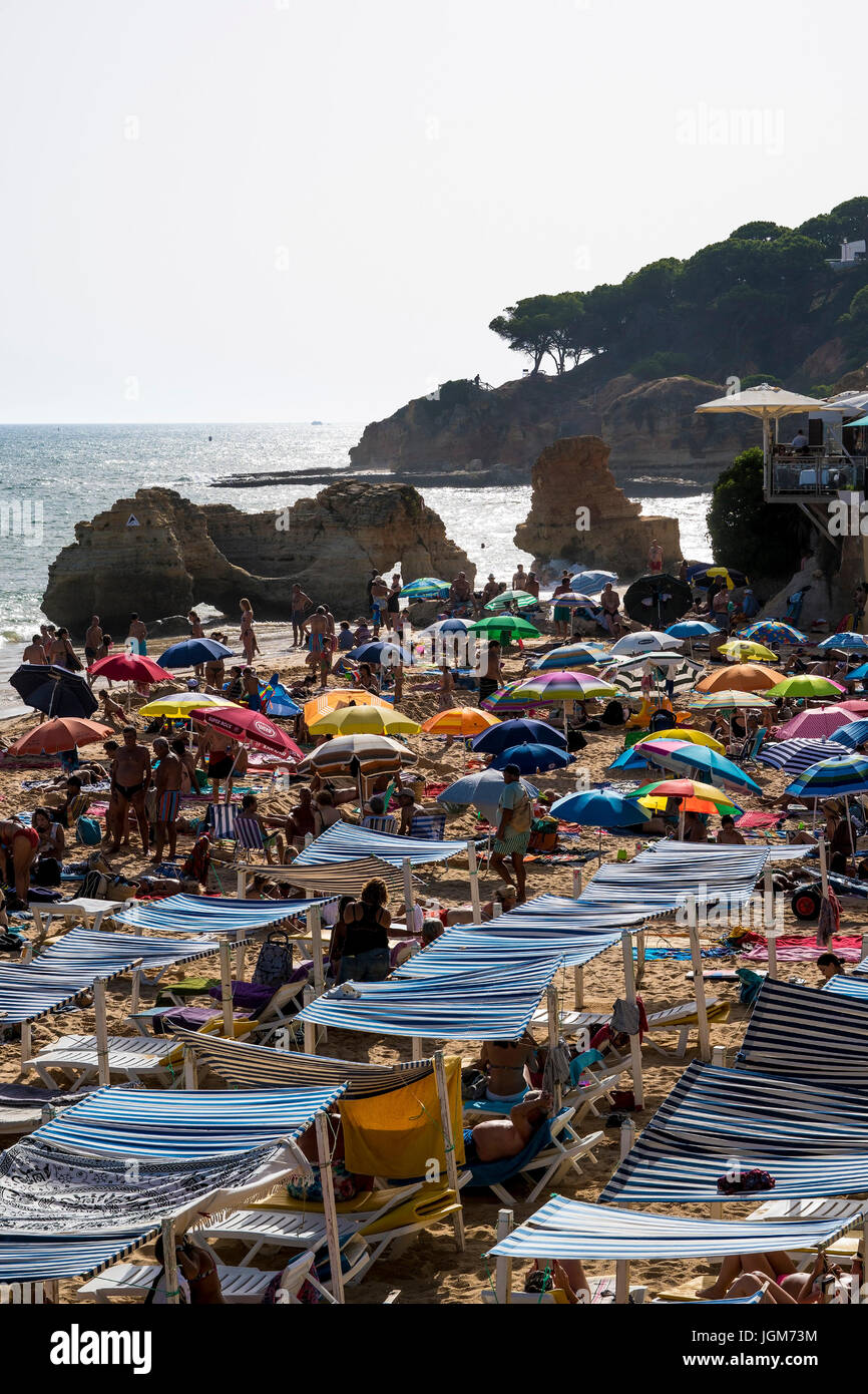 Algarve, l'Atlantique, l'Europe, rock, rétro-éclairage, Olhos de Agua, Portugal, Praia, Praia dos Olhos de Agua, plage, beach life Banque D'Images