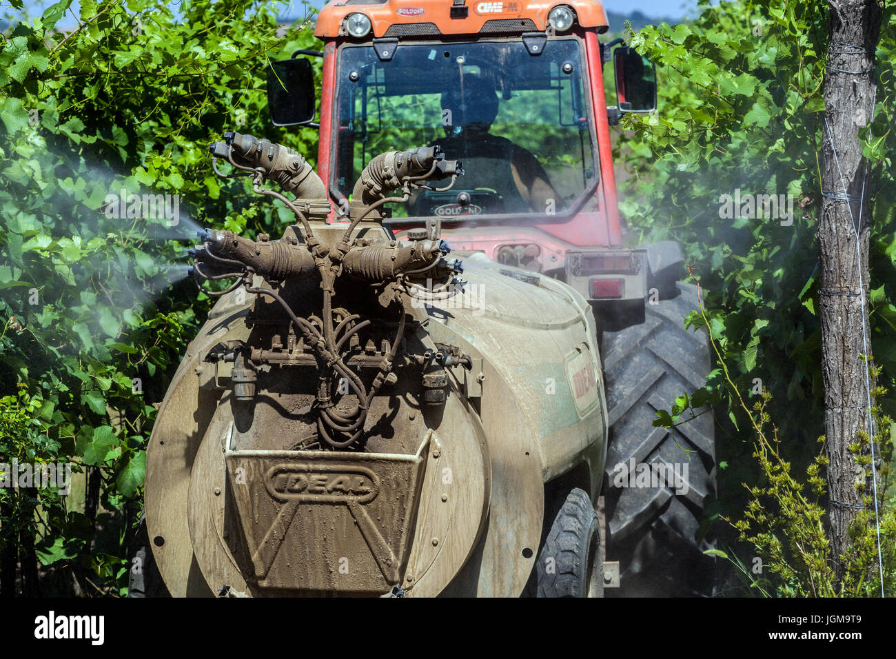 L'épandage de produits chimiques dans les vignobles, les vignes de la région de Moravie du sud de Valtice, République Tchèque, Europe Banque D'Images