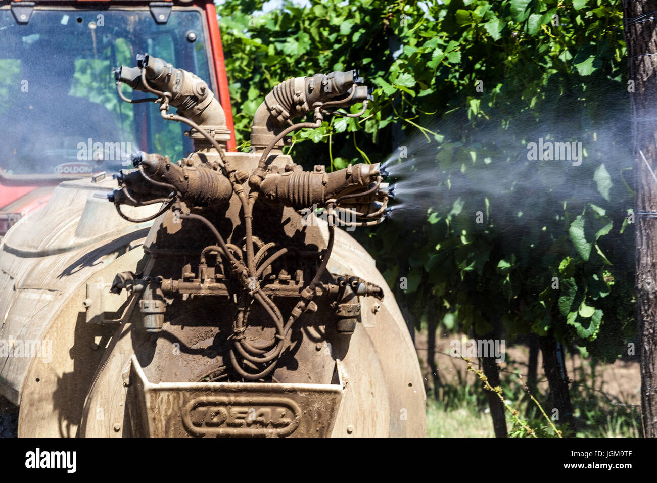 L'épandage de produits chimiques dans les vignobles, les vignes de la région de Moravie du sud de Valtice, République Tchèque, Europe Banque D'Images