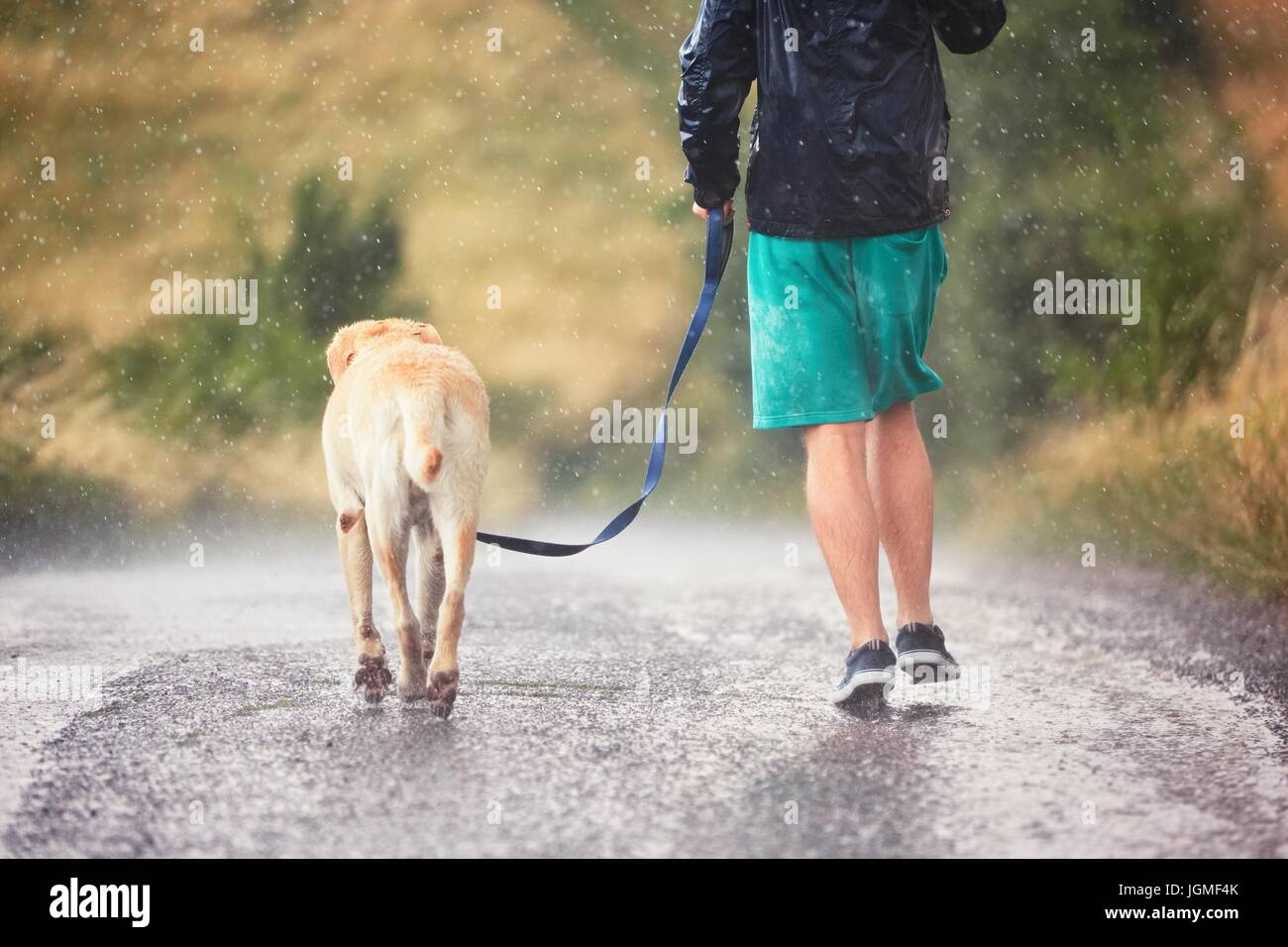 Chien sous la pluie Banque de photographies et d’images à haute résolution Page 2 Alamy