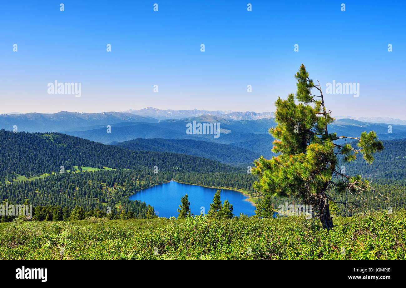 Voir l'échelle de la montagne à partir de la taïga toundra alpine. La lumière du lac. Ergaki Park. Le sud de la Sibérie. La Russie Banque D'Images