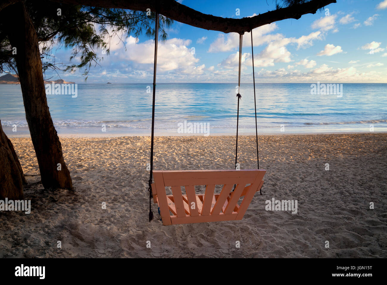 Swing sur plage à Kailua Beach Park. Oahu, Hawaii Banque D'Images