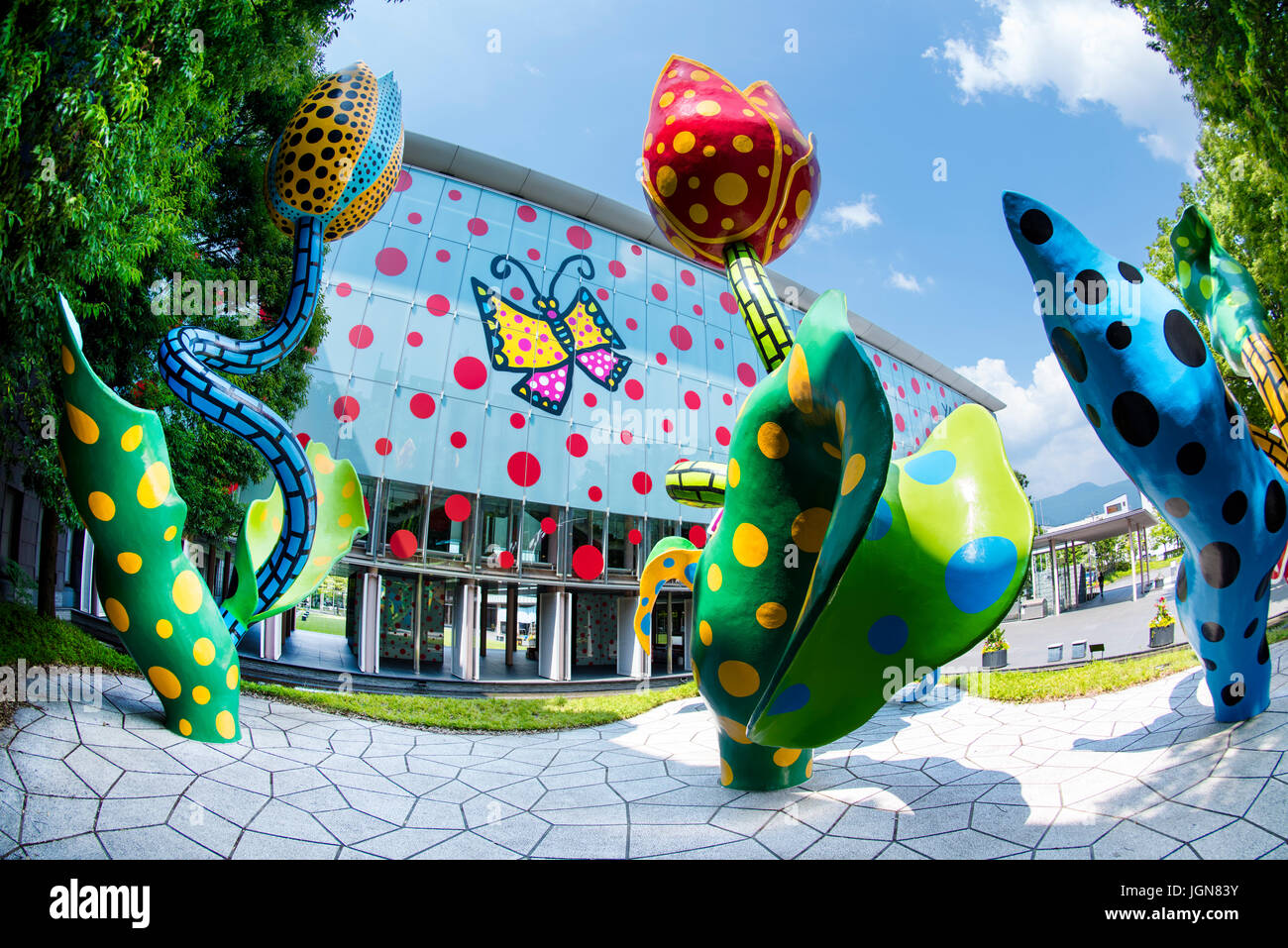 Le visionnaire fleurs, une installation d'art environnemental par Yayoi Kusama à la Matsumoto City Museum of Art. Banque D'Images