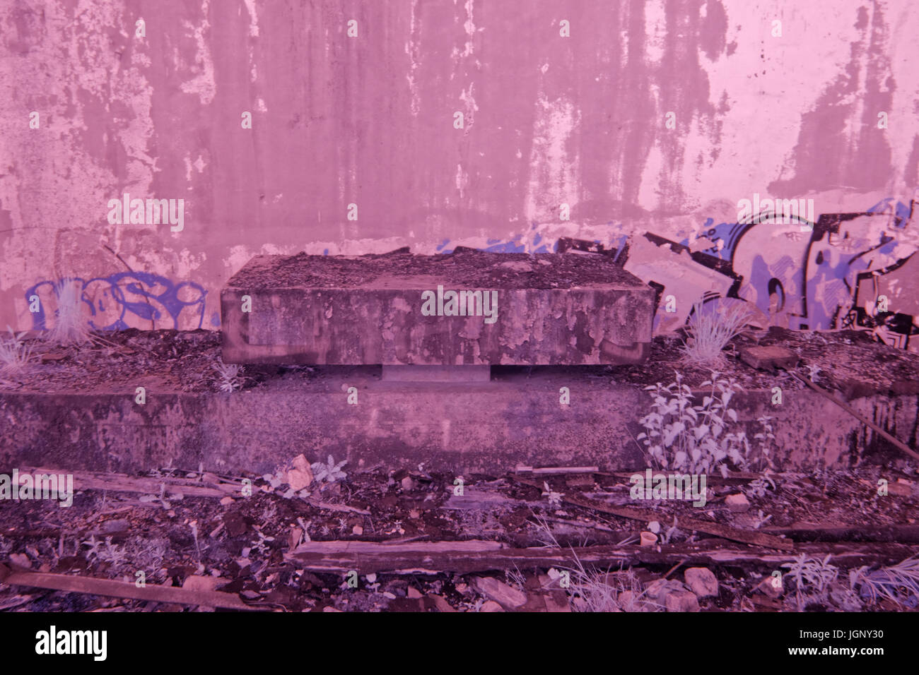 La photographie infrarouge infra rouge photo photos d'alter de St Peter's Seminary, Cardross, Ecosse, 2012 hauteur de son délabrement avant restauration Banque D'Images