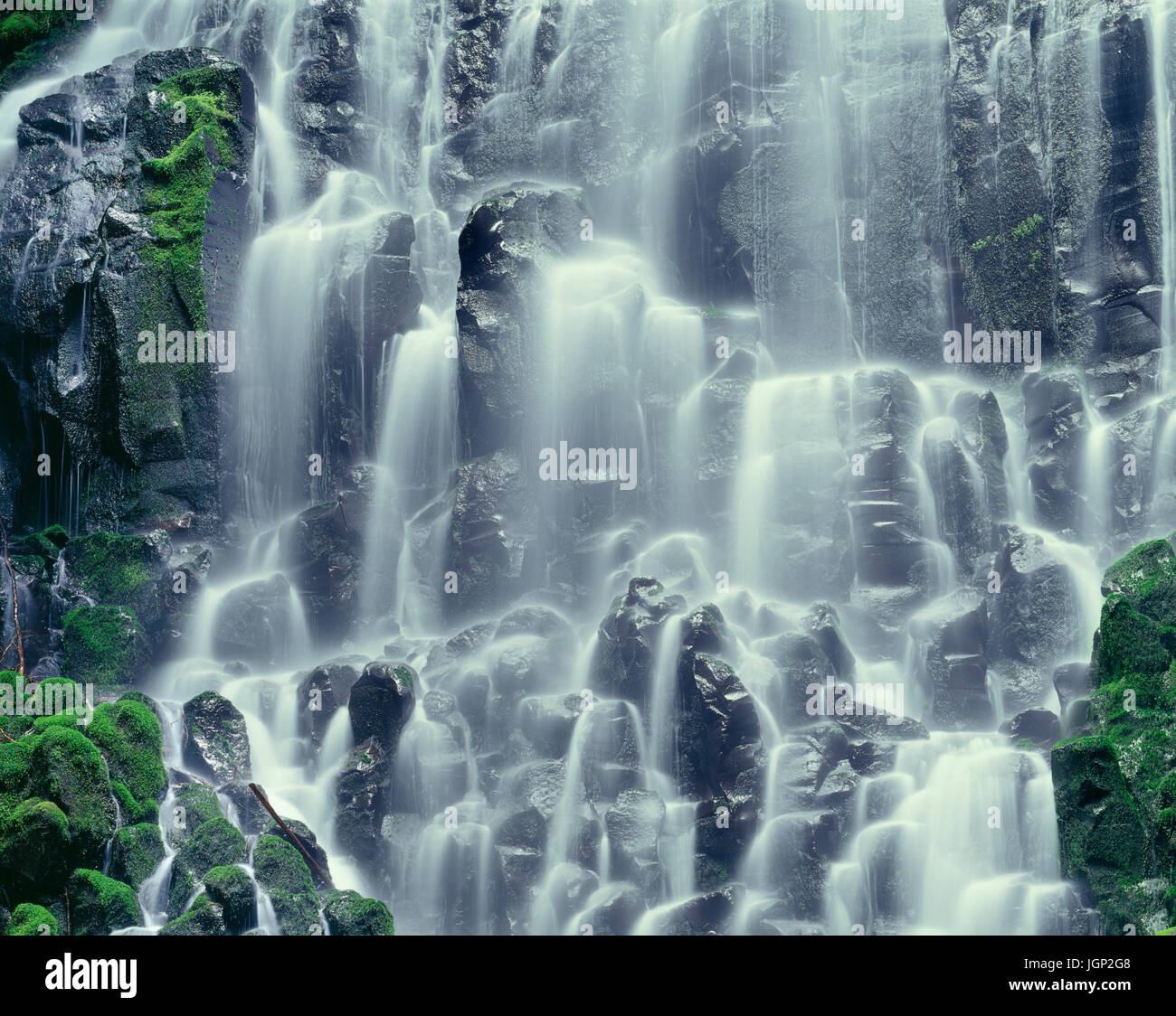 USA (Oregon), Mount Hood National Forest, Mount Hood Wilderness, Ramona Falls est formé par un petit ruisseau Tumbling sur une falaise de basalte columnaire moussu Banque D'Images