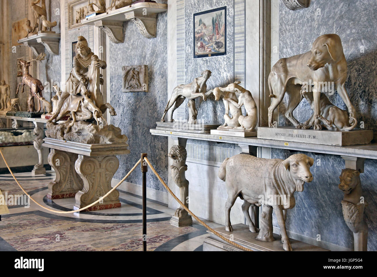 Dans 'Sala degli animali' ('Hall des animaux"), Musée Pio-Clementino, Musées du Vatican, Vatican. Banque D'Images