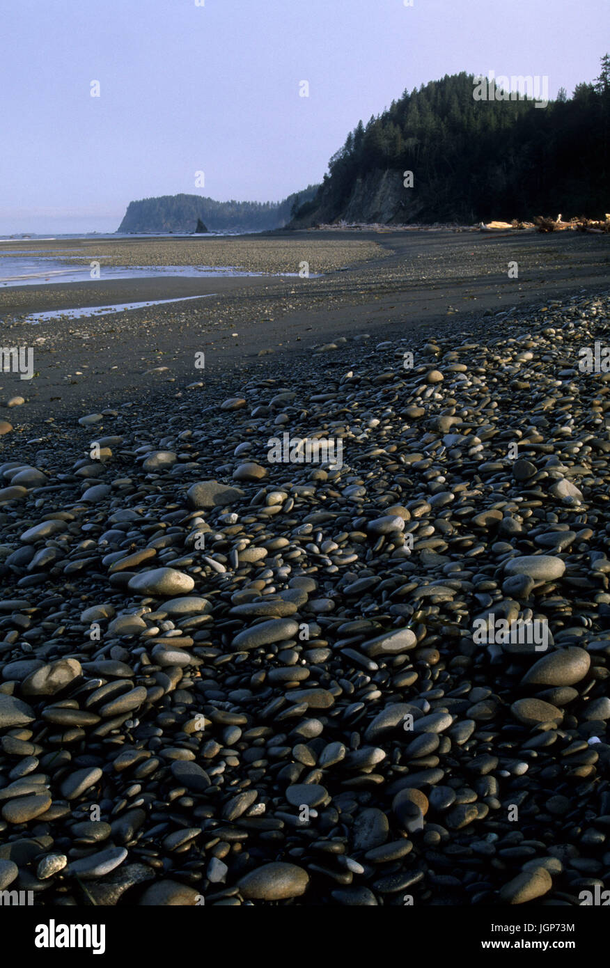 Oil City Beach, Olympic National Park, Washington Banque D'Images