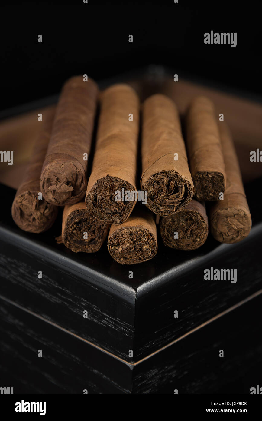 L'arôme invitant de cigares humidor noire assise sur un Banque D'Images