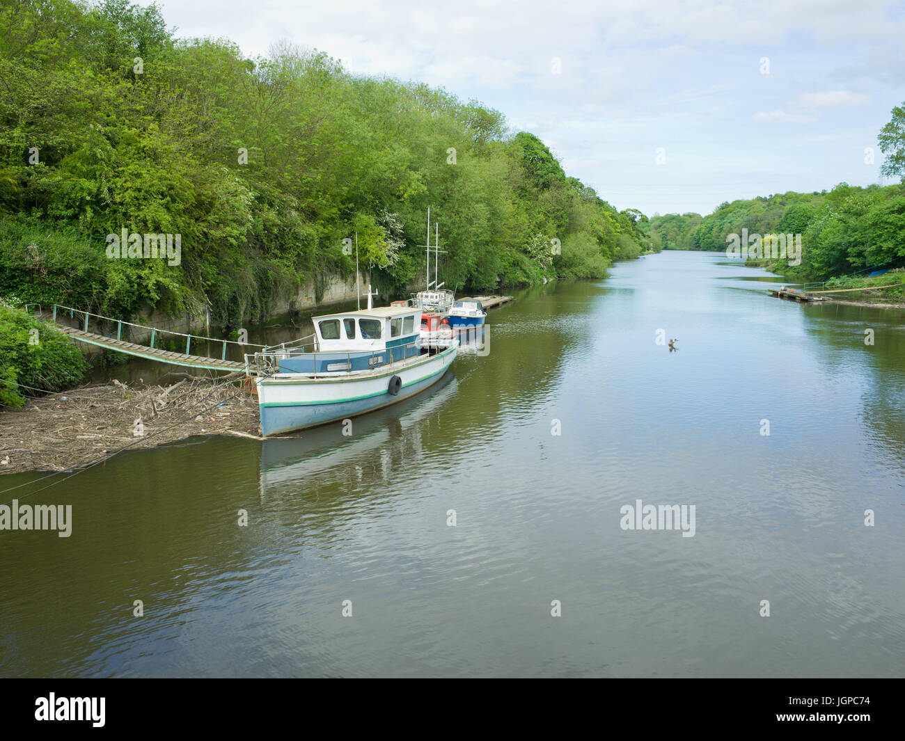 Plaisir en bois bateau de plaisance amarrés sur le fleuve d'usure au niveau de la Cox Green Washington Uk Banque D'Images