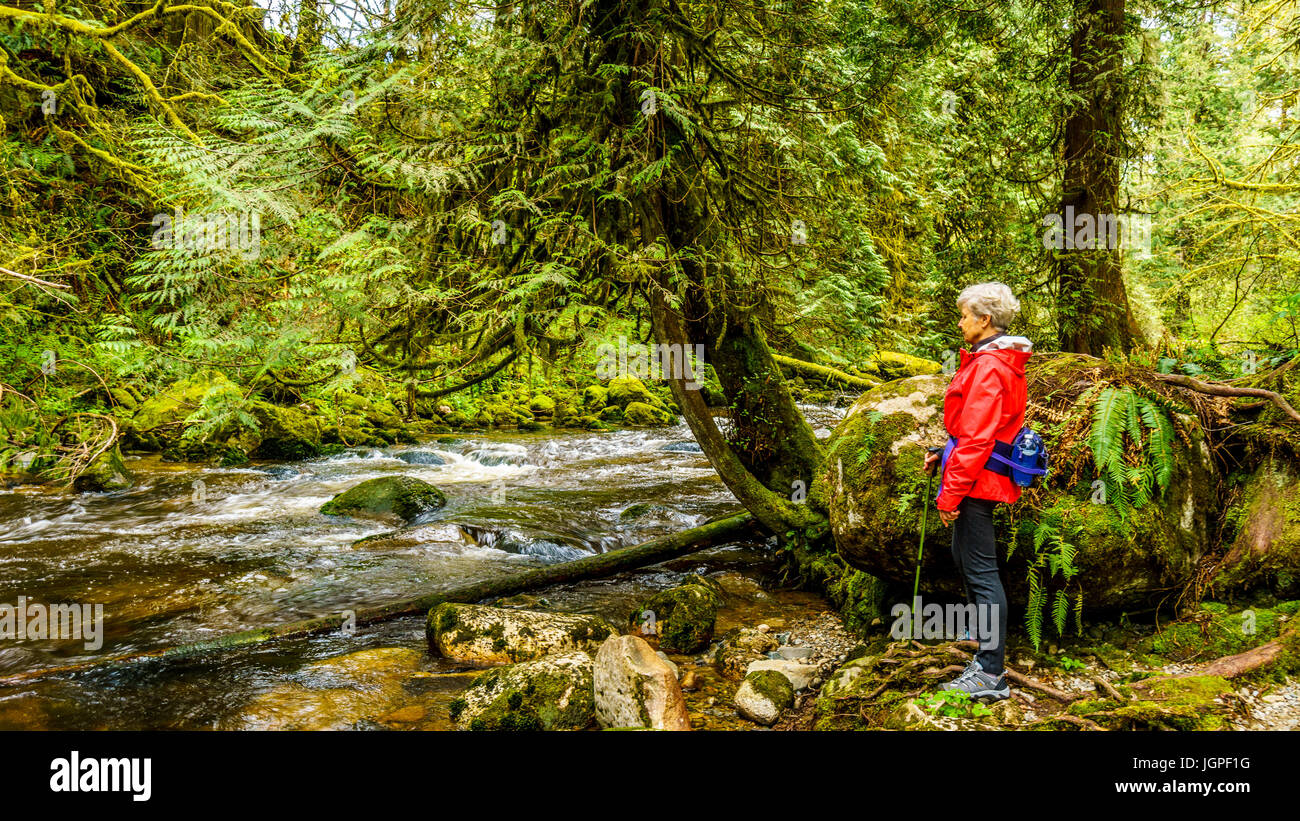 Femme regardant le courant rapide de Kanaka Creek lors de la randonnée à travers la forêt tempérée de Kanaka Creek Regional Park, Maple Ridge, Colombie-Britannique Banque D'Images
