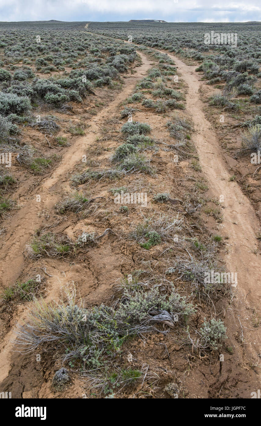 Oregon Trail, Wyoming, USA par Bruce montagne/Dembinsky photo Assoc Banque D'Images