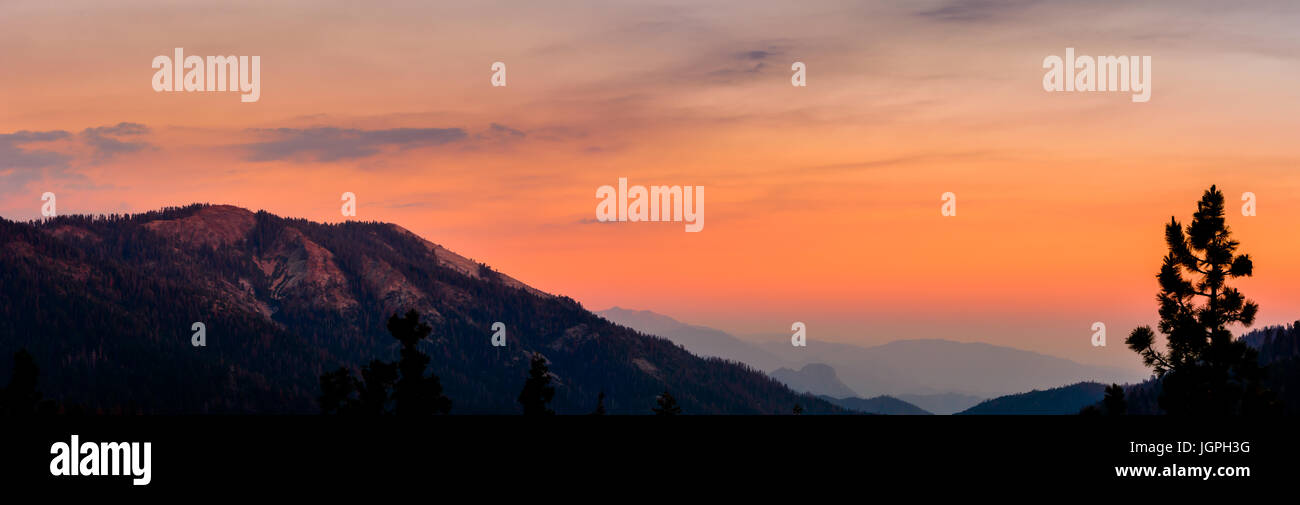 Panorama de Big Baldy du général l'autoroute à Sequoia National Park, Californie Banque D'Images