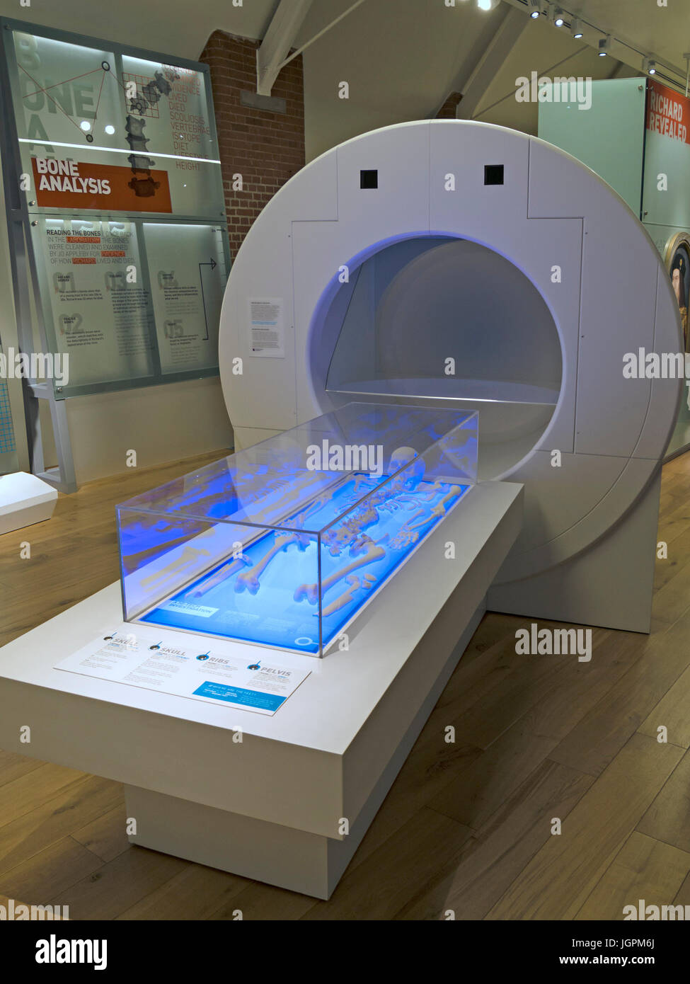 Modèle de scanner utilisé dans la reproduction du roi squelette Richards (en avant), le roi Richard III Centre d'exposition, Leicester, England, UK Banque D'Images