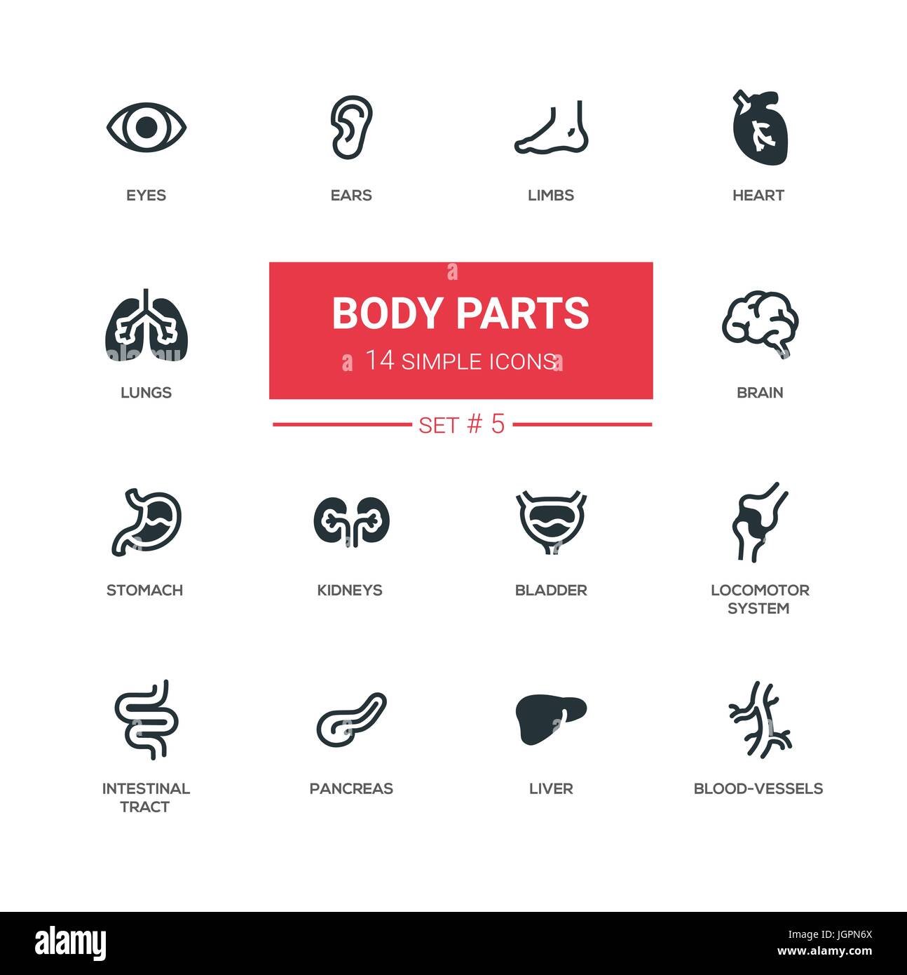 Parties du corps - ensemble d'icônes de design moderne ligne vectorielle, pictogrammes. Les yeux, les oreilles, les membres, le cœur, les vaisseaux sanguins, les poumons, le cerveau, vessie, foie, estomac, kidne Illustration de Vecteur