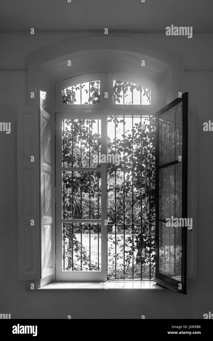 Une fenêtre ouverte avec des plantes à la recherche dans un jardin Banque D'Images
