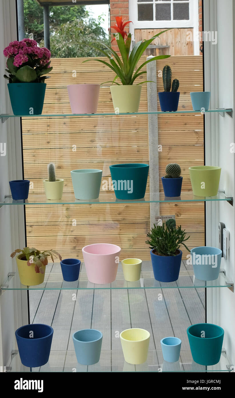 Jardin intérieur, pots de cactus Banque D'Images