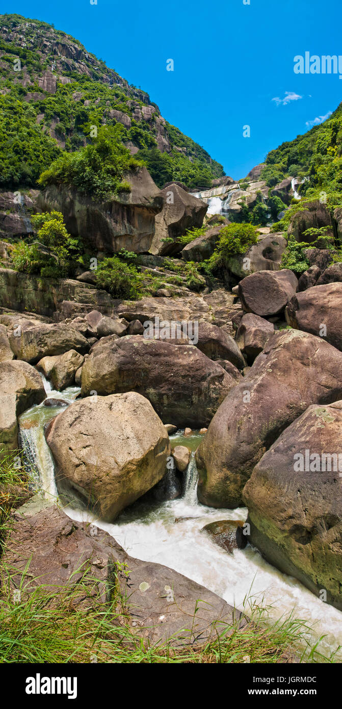 Panorama vertical de ruisseau de montagne dans le parc national dans le sud de la Chine, Xiamen, Fujian province Banque D'Images