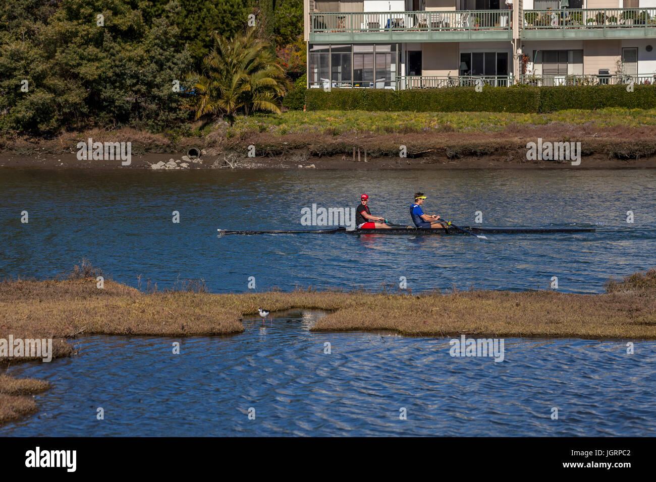 Deux hommes l'aviron dans l'entrée de Larkspur Creek, l'établissement Larkspur, California, USA Banque D'Images
