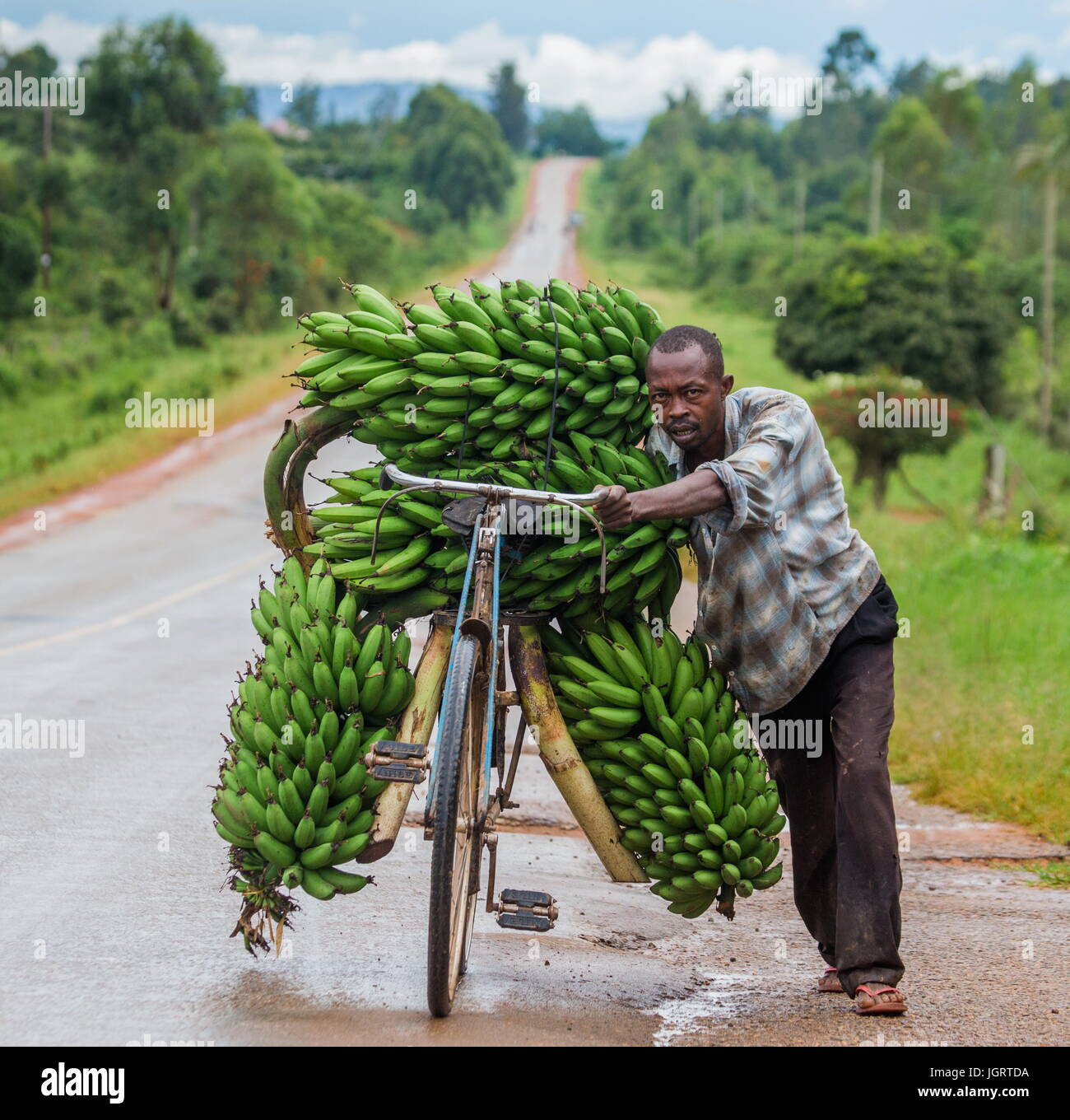 KISORO, en Ouganda, l'Afrique - 10 MAI 2013 : Kisoro. L'Ouganda. Le jeune homme a de la chance en vélo sur la route reliant un grand de bananes à vendre sur le marché Banque D'Images