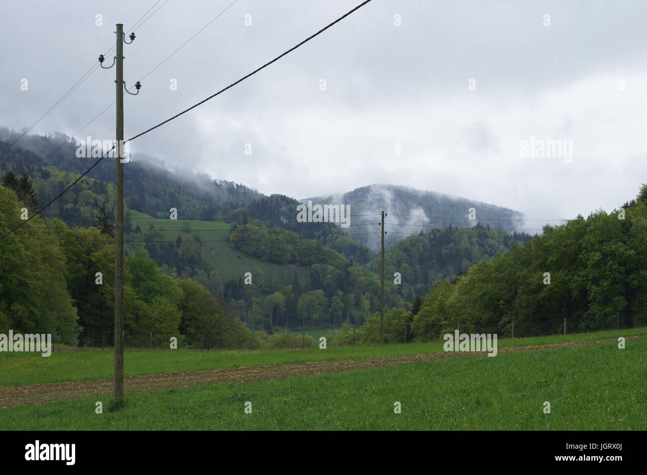 Les lignes d'alimentation dans la campagne verdoyante, des pluies Banque D'Images