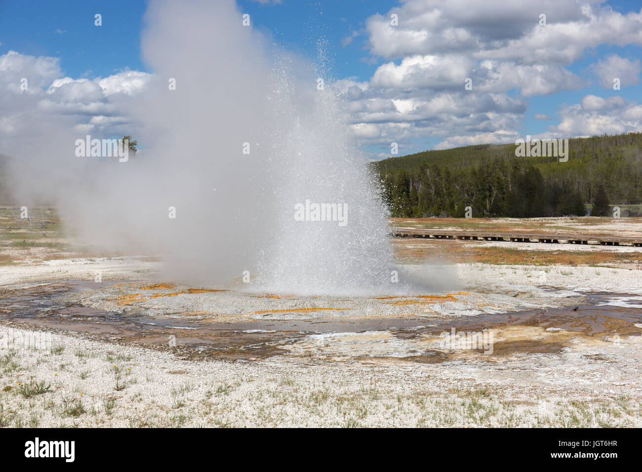 Jewel Geyser en biscuit Basin, Upper Geyser Basin, Parc National de Yellowstone Banque D'Images